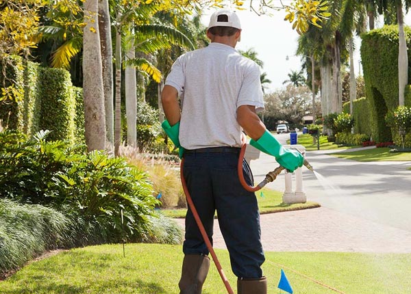 About Allport PA Pest Control